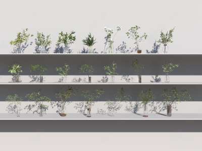 水生植物3D模型下载